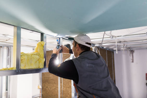 Best Insulation for Commercial Buildings  in Clarkton, MO
