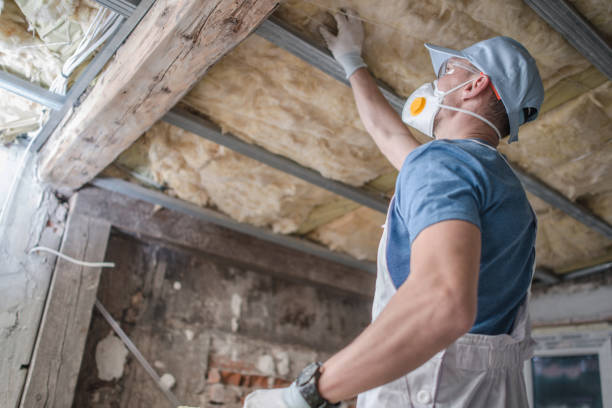 Best Spray Foam Insulation  in Clarkton, MO