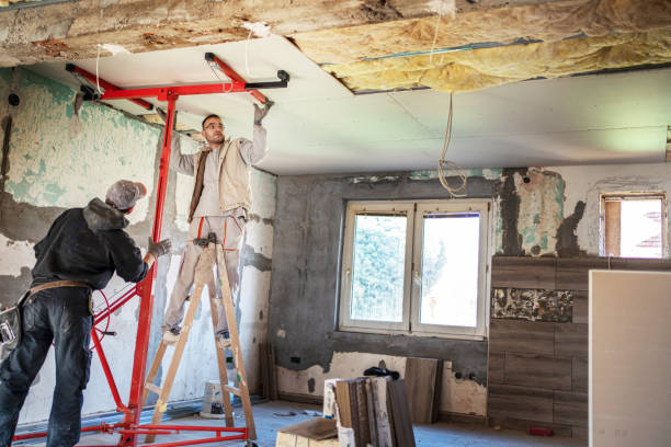 Best Insulation Repair Services  in Clarkton, MO