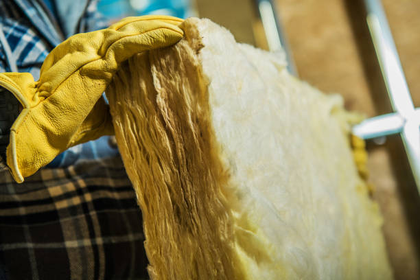 Best Garage Insulation Installation  in Clarkton, MO