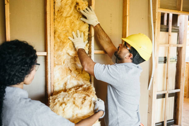 Insulation Repair Services in Clarkton, MO
