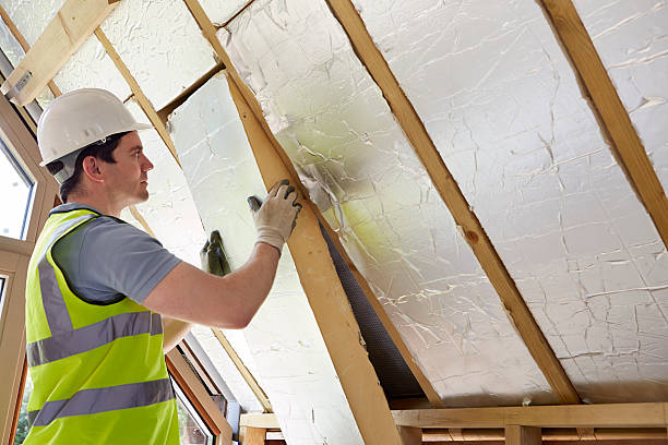Best Soundproof Insulation Installation  in Clarkton, MO