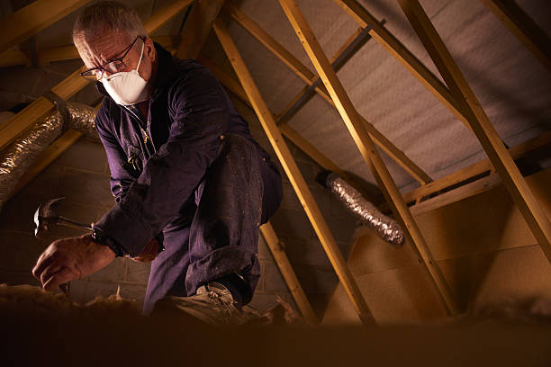 Best Professional Insulation Contractor  in Clarkton, MO